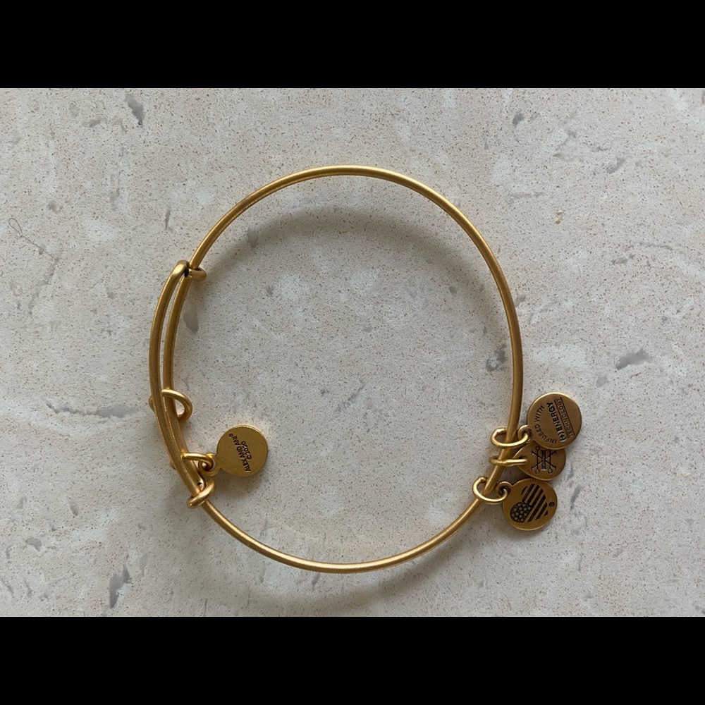 Alex and Ani Charm Bangle